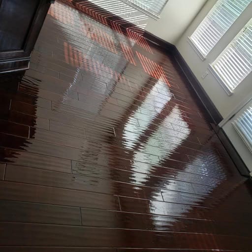 Dark refinished floor catching the afternoon light